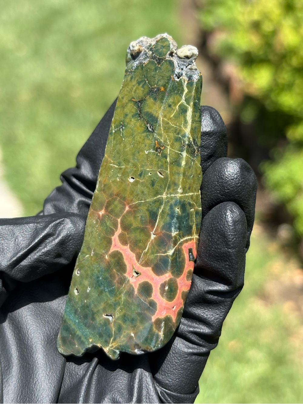 Ocean Jasper Crystal Freeform - Polished Sea Jasper